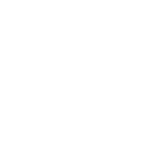 saudi arabia flag